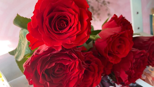 ���ݹ���������ů���ж�