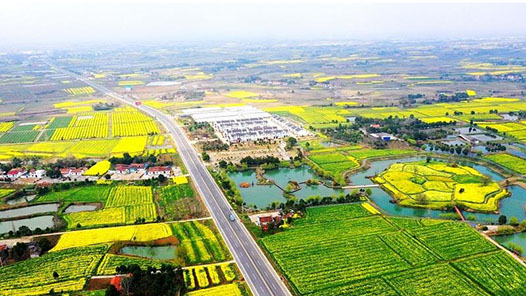 【六中全会精神在基层】湖北工会立体式助力乡村振兴