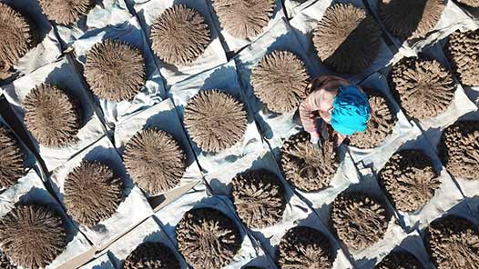 �´��߻������ǧ��ҩ�硱��ص����ҵ�����»�