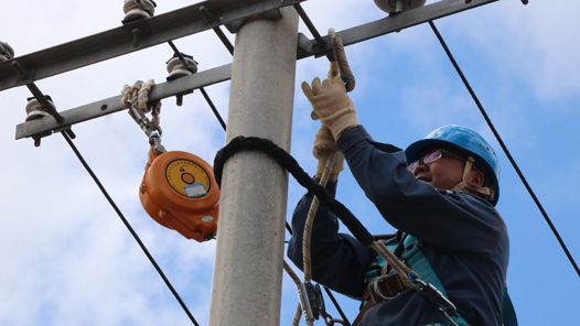 【互联网+工会维权服务优秀案例】国网四川省电力公司工会：三级“E”维权，职工添保障