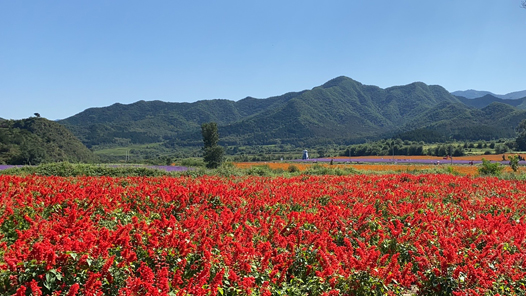 【六中全会精神在基层】吉林省总工会：助力乡村振兴 倾情包保帮扶