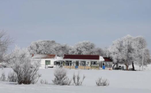 【职爱冬奥】“冰雪情 冬奥梦”职工摄影大赛：雪天巡线被定格