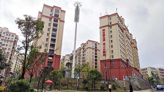 �´��߻���ح���¡��廨���� ������ƶ�ɹ������ҹ���ƶ�˿���������������߷ü���