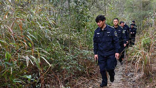 �´��߻���ح����ɽ���ҹ�԰����ԱѲɽ��