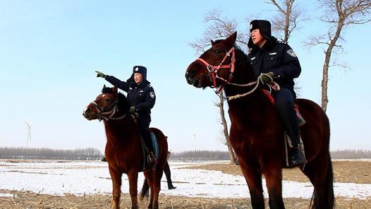 �´��߻���|�������ϡ��ػ�ƽ����