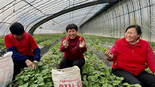 �´��߻������һ�Ҹ����㸻 �¸�·�ϲ�������һ��Ⱥ�ڡ�