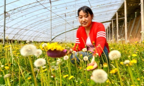 �����ز� �����з����´��߻��㣩