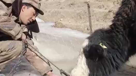 �´��߻���ح����ɽ�������� ����ɽ���֧��ţѲ�߶�