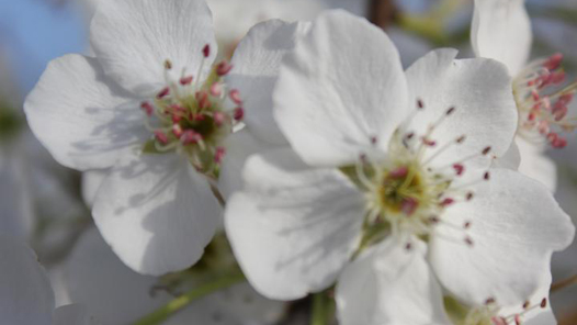 �´��߻���حһ������ɽ��ġ�΢Ц���ߡ�