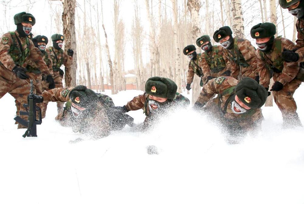 白老虎连官兵连线致敬英雄前辈虎年扬虎威