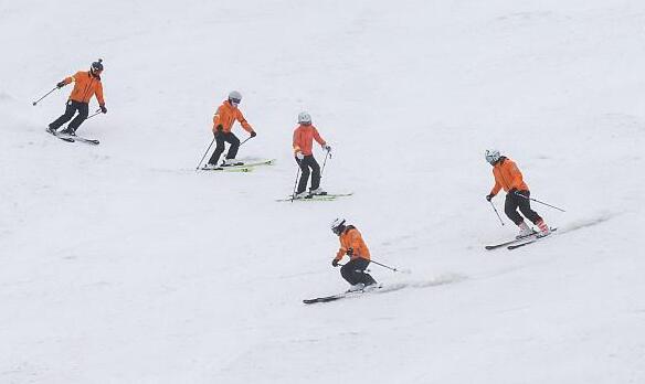 高山滑雪生命守护者：不动如山，迅疾似火