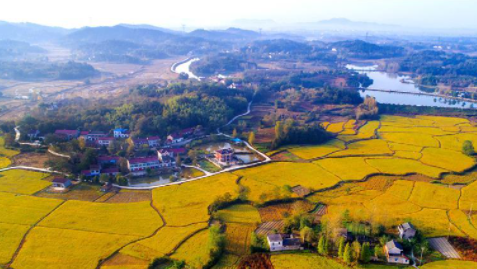 �´��߻���������쳤��������+����������������