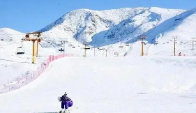 Ů����ѩ������ӡ�����������