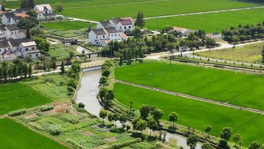 ܽ ʱحϽܶȲҵپҵƶɹ۲