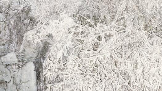 ����ѩ�顤�����Ρ���������