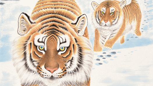 ����ѩ�顤�����Ρ�׷��