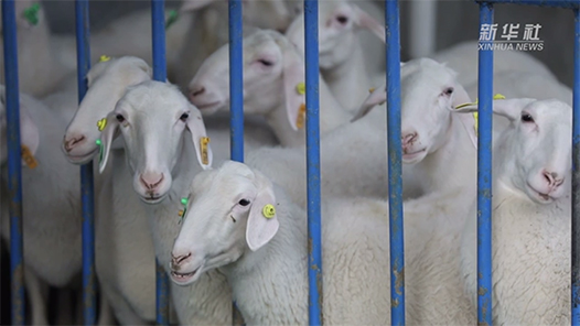 ܽ ʱحȲҵپҵ ٽˡܡ