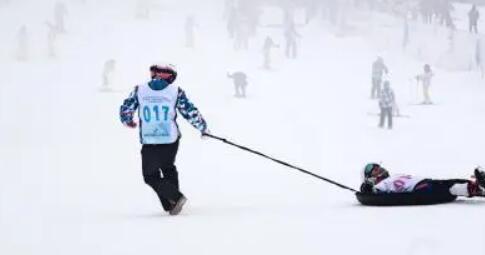 北京冬奥过后，这片山林没有回归寂静