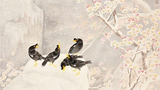 ����ѩ�顤�����Ρ���ѩ��÷