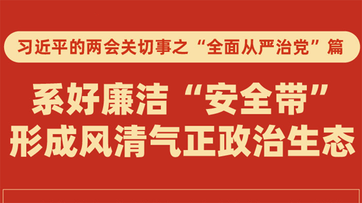 习近平的两会关切事之“全面从严治党”篇丨系好廉洁“安全带” 形成风清气正政治生态