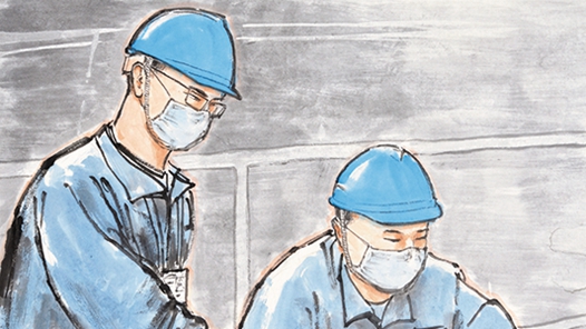 ����ѩ�顤�����Ρ�һ˿����������