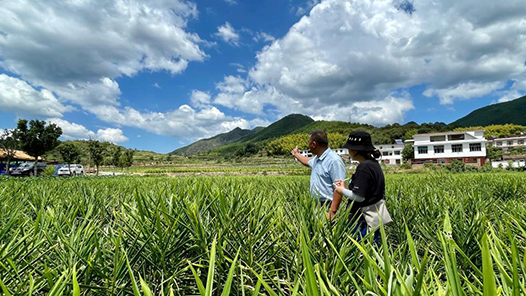 ܽ ʱحðյԽԽ𡪡һ߹۲