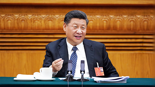 习近平两会家常话｜“我在电视上看到你了”