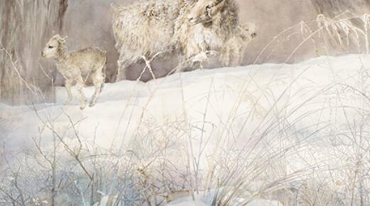 ����ѩ�顤�����Ρ���������������