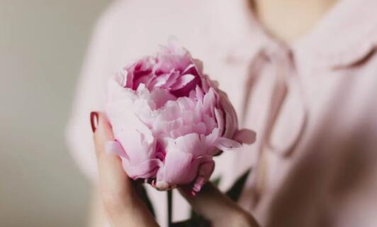 ��ְ��Ů�Խ������䡿�ذ�Ů�Խ��������Ĺ���HPV��Щ�¶�