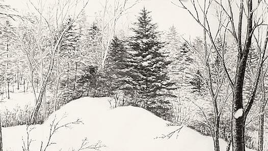 ����ѩ�顤�����Ρ�ѩ���˰�