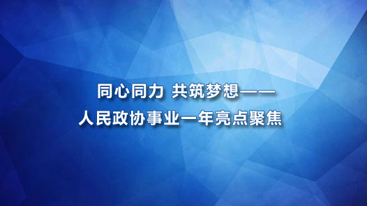 同心同力 共筑梦想——人民政协事业一年亮点聚焦