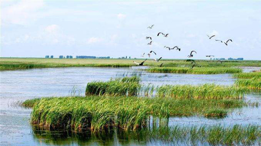 李克强在政府工作报告中介绍，过去一年加强生态环境保护，促进可持续发展