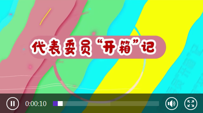 代表委员“开箱”记｜我把自闭症儿童的画带到北京
