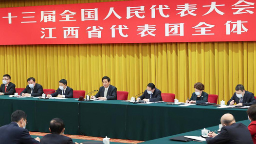 栗战书在参加江西代表团审议时强调 深刻认识“两个确立”的决定性意义 进一步把习近平总书记对江西工作的指示要求落细落实