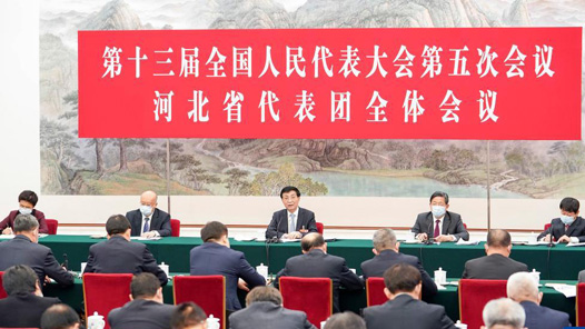 王沪宁在参加河北代表团审议时强调 深入贯彻落实党中央重大决策部署 扎实做好推动高质量发展各项工作