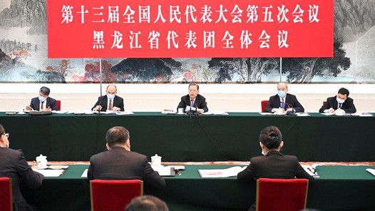 赵乐际在参加黑龙江代表团审议时强调 围绕经济社会发展重点任务落实 充分发挥监督保障作用