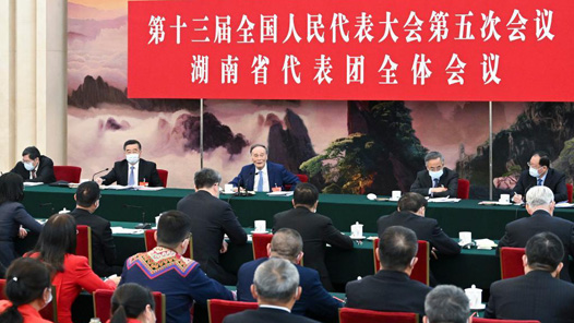 王岐山在参加湖南代表团审议时强调 感悟“两个确立”决定性意义 坚定信心稳中求进再创辉煌
