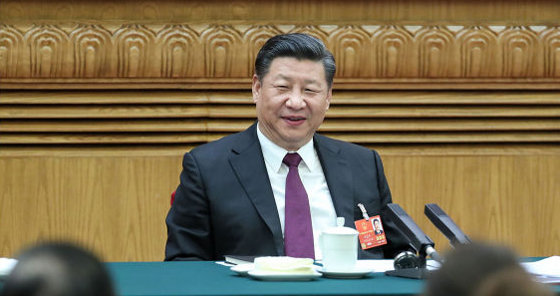 习近平看望参加政协会议的农业界社会福利和社会保障界委员