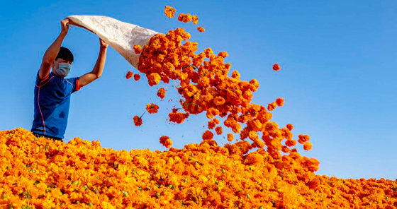 走向共同富裕：做大蛋糕 奋斗的脚步不能停