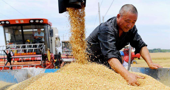 代表委员热议政府工作报告——5.5%有多少含金量