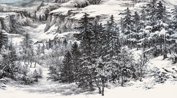 ����ѩ�顤�����Ρ������ɷ� 