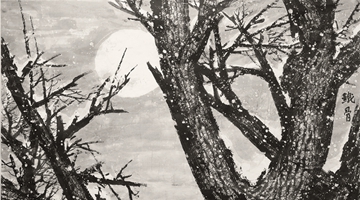 ����ѩ�顤�����Ρ����� 