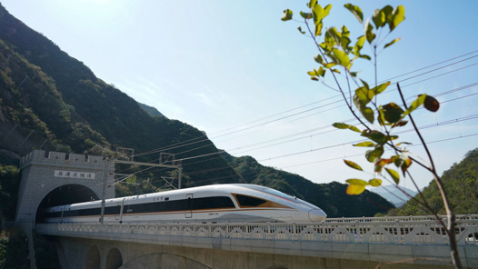 两会回音壁丨成绩显著目标务实 为全球发展持续注入动力——国际社会高度评价中国政府工作报告