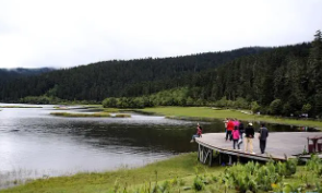 国家公园如何打造“公益名片”？这位代表调研找到这些“着力点”