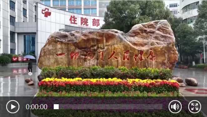 两会故事·民主的样子丨这位代表持续呼吁十年 为了新生儿更加健康