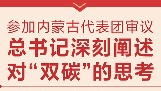 微镜头：参加内蒙古代表团审议 总书记深刻阐述对“双碳”的思考
