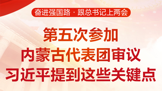 第五次参加内蒙古代表团审议 习近平提到这些关键点