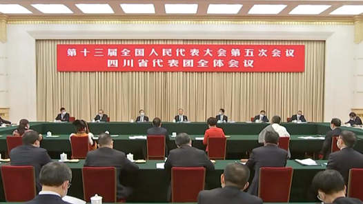 中共中央、全国人大常委会、国务院等领导同志分别参加十三届全国人大五次会议代表团分组审议