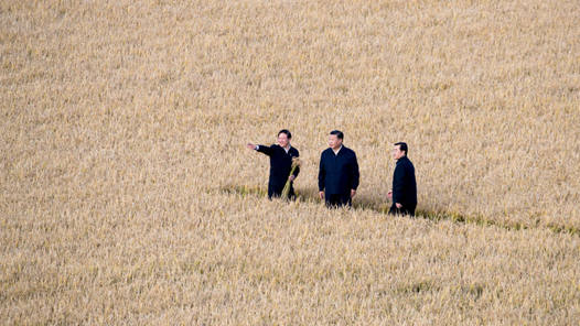 第1视点丨这个“国之大者” 总书记念兹在兹