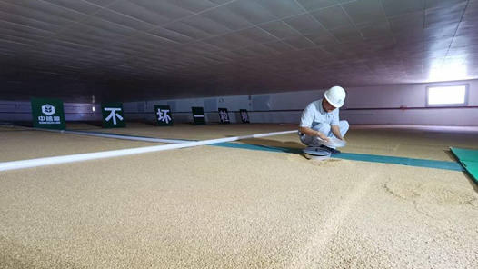 筑牢大国粮仓，让“中国饭碗”越端越稳